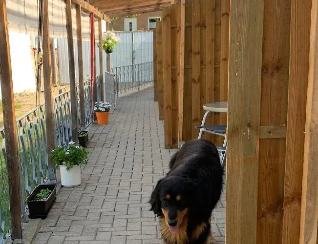 Landgasthaus & Liebner-land Brandenburg-prignitz 3* Gross Pankow (Prignitz)