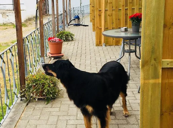 Landgasthaus & Liebner-land Brandenburg-prignitz 3*