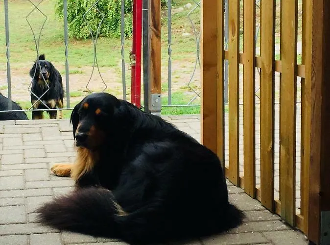 Landgasthaus & Liebner-land Brandenburg-prignitz 3*